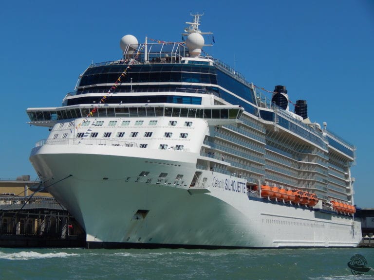 Celebrity Silhouette