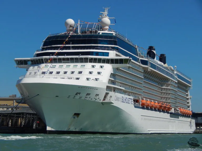 Celebrity Silhouette