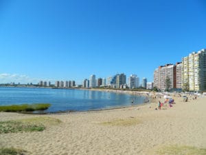 MSC lança promoção para compra antecipada de excursões na América do Sul
