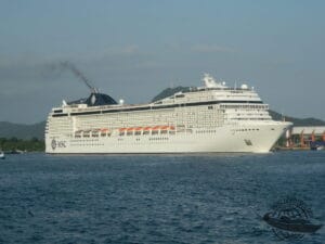 MSC Musica subantártica