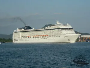 MSC Musica subantártica