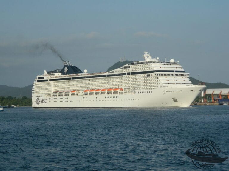 MSC Musica subantártica