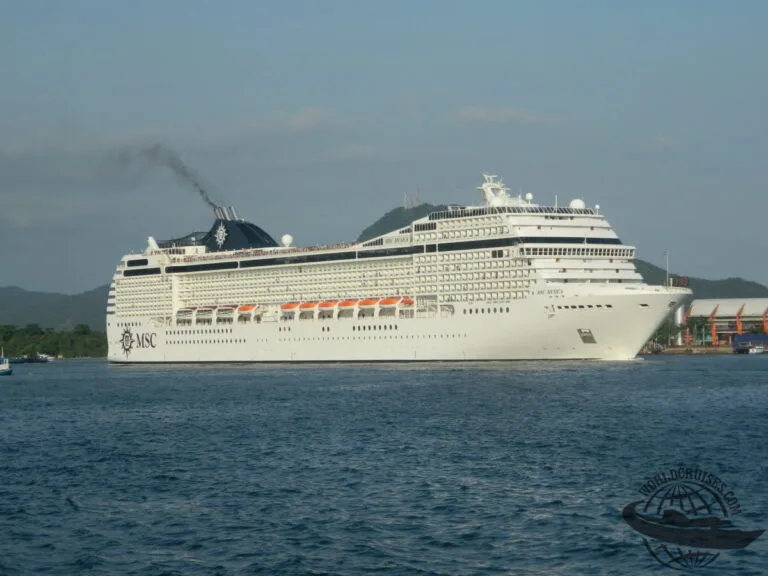 MSC Musica subantártica