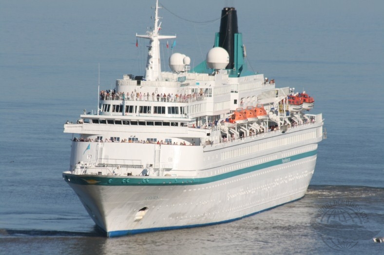 Albatros