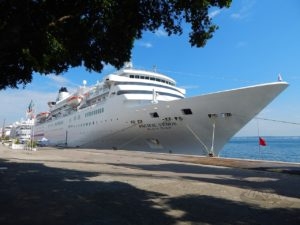 Comissão no Senado discute perspectivas para turismo de cruzeiros no pós-pandemia