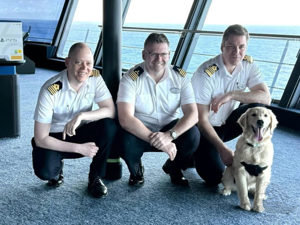 Icon of the Seas cachorro