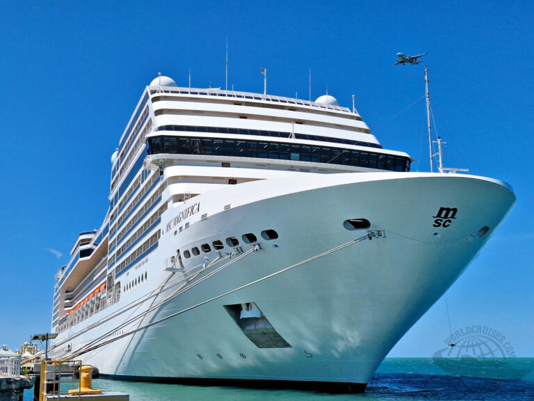 Black Friday MSC Cruzeiros