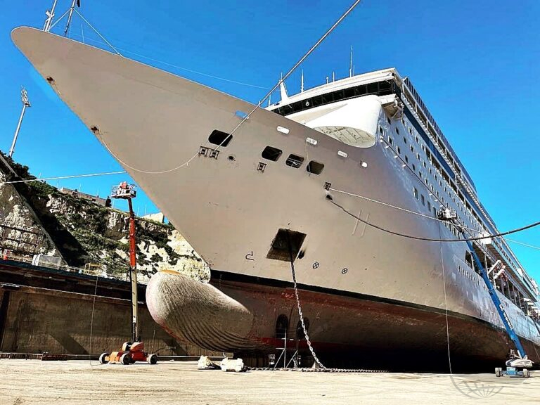 MSC Armonia renovação