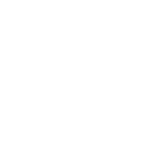 logo companhia norwegian
