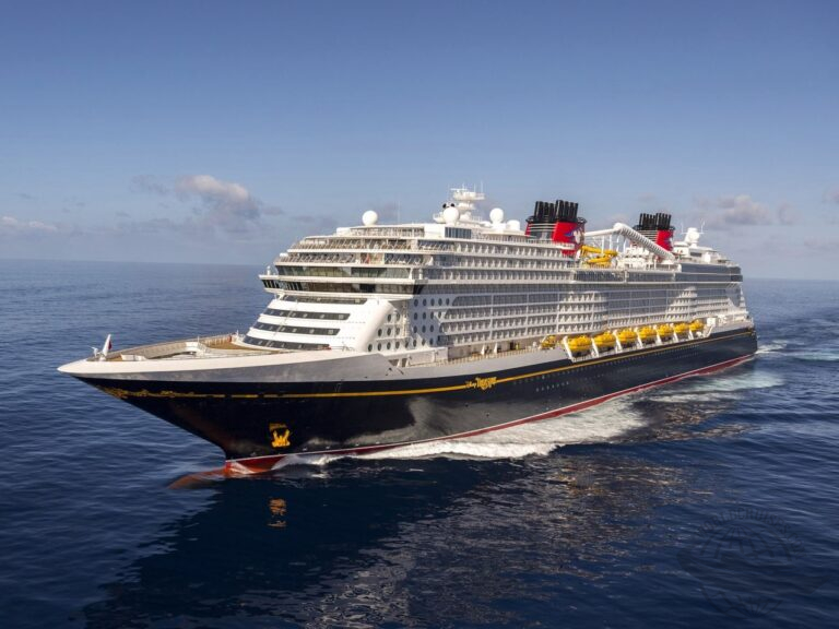 Disney Treasure