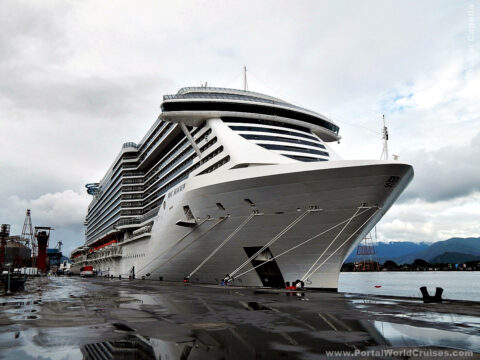 acidente cruzeiros porto de santos