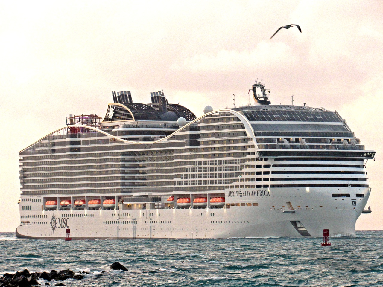 MSC World America