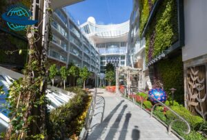 Symphony of the Seas