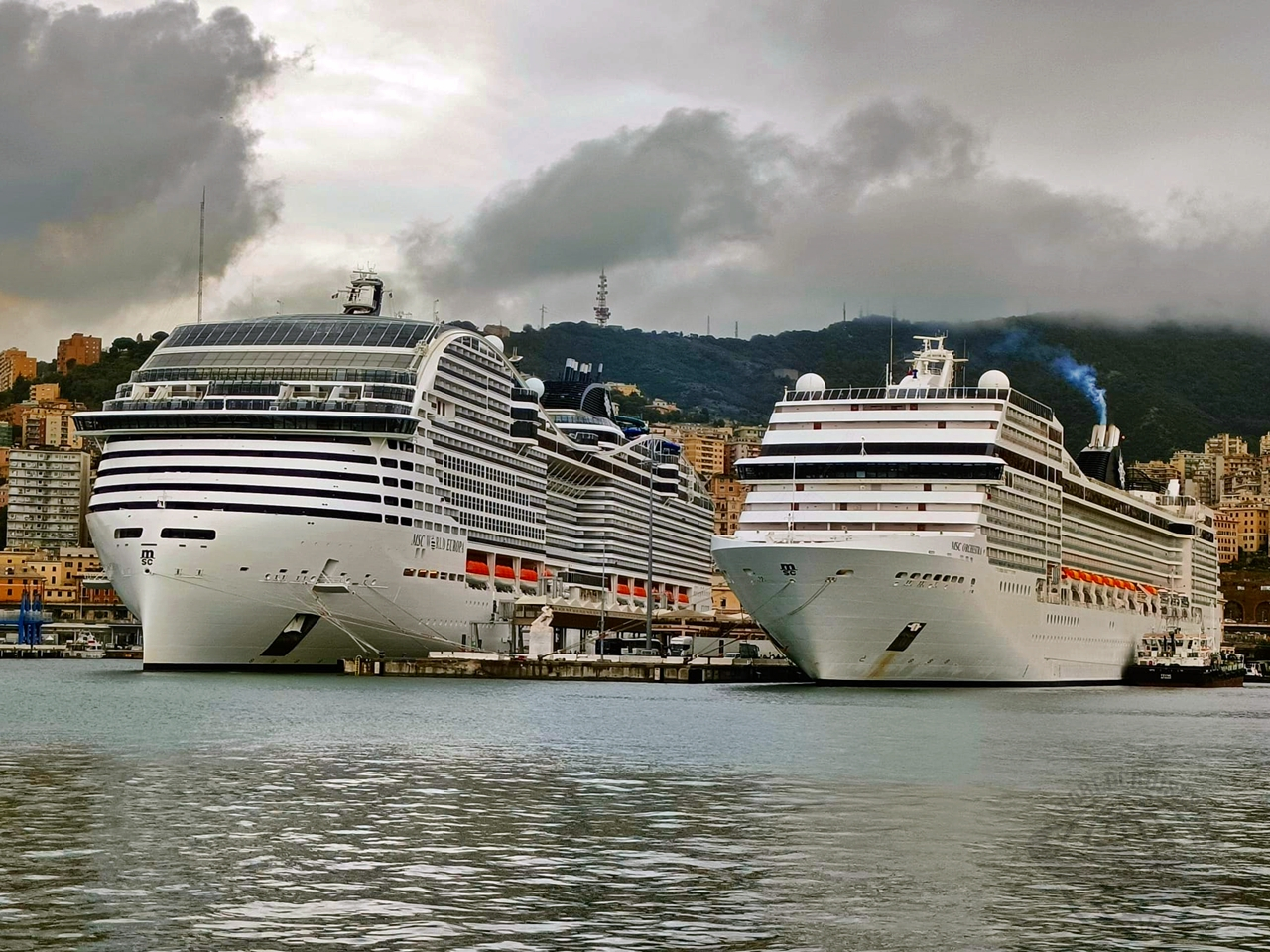 protesto afeta embarque MSC