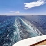 MSC cancela cruzeiro por segurança