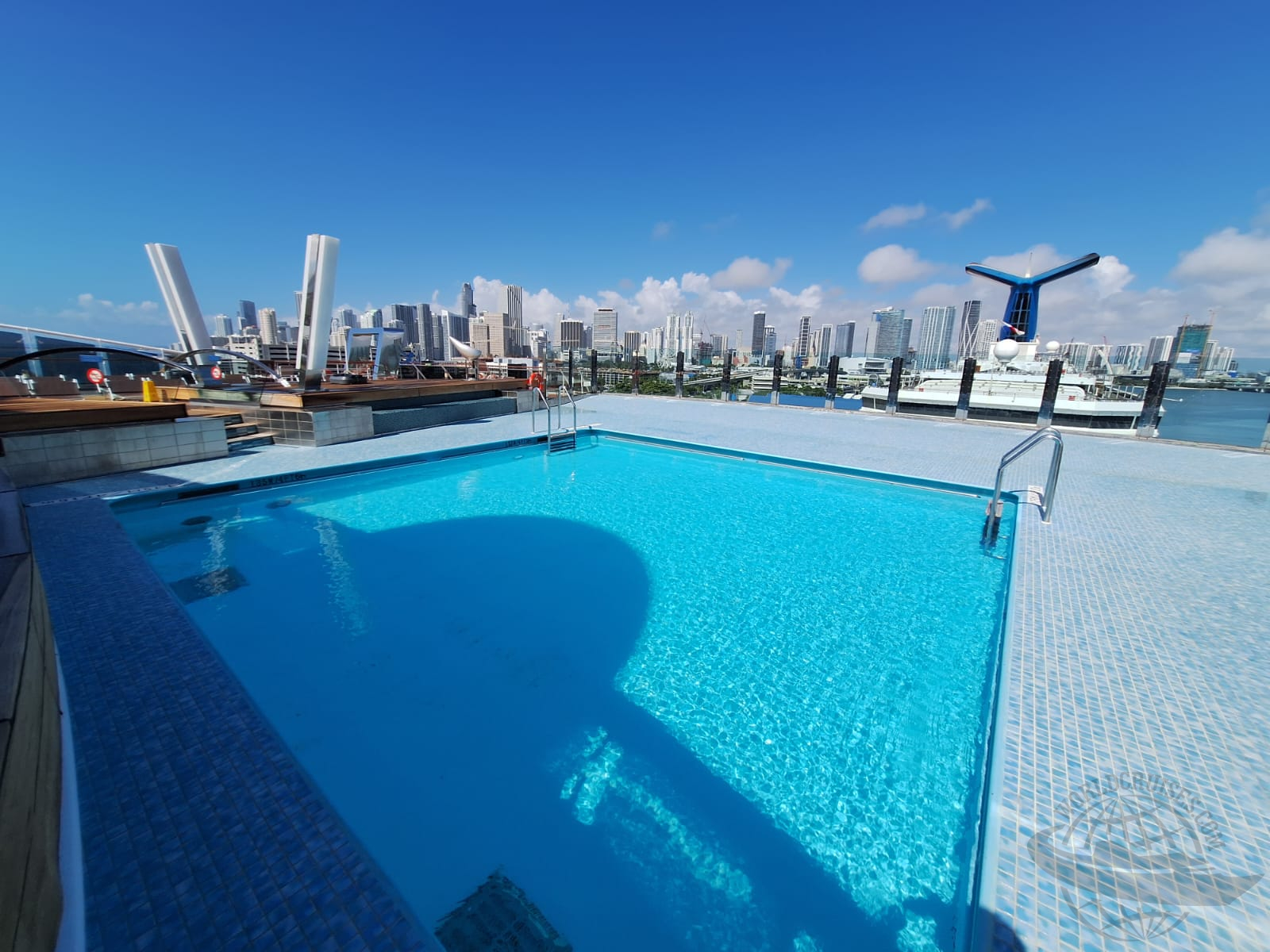 retorno do MSC Divina ao Brasil