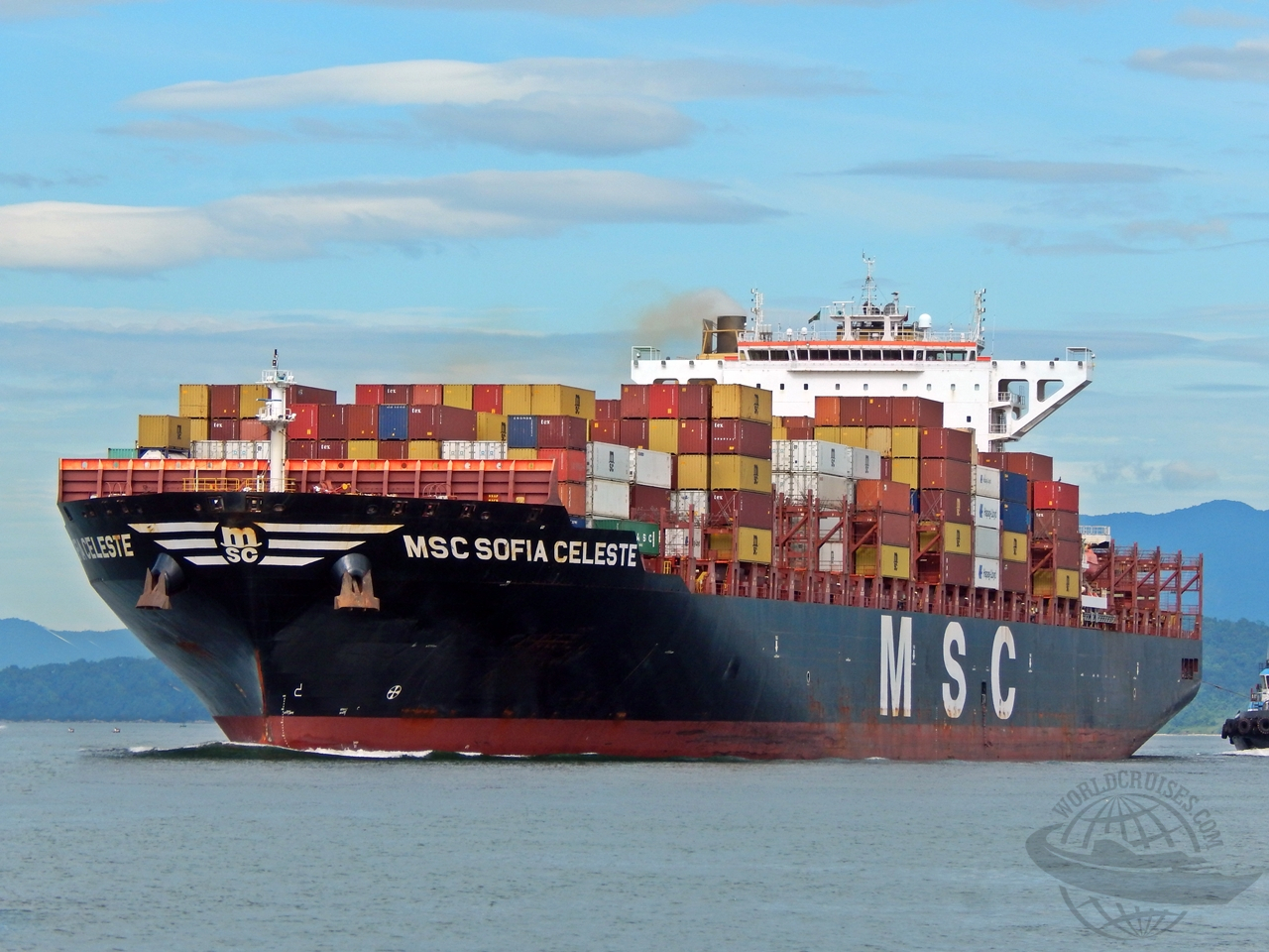 Mediterranean Shipping Company