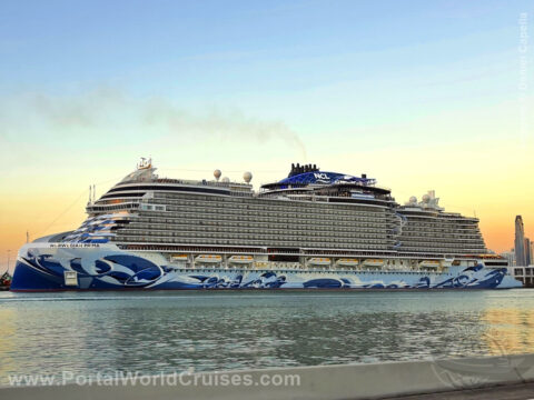 Black Friday NCL 2025