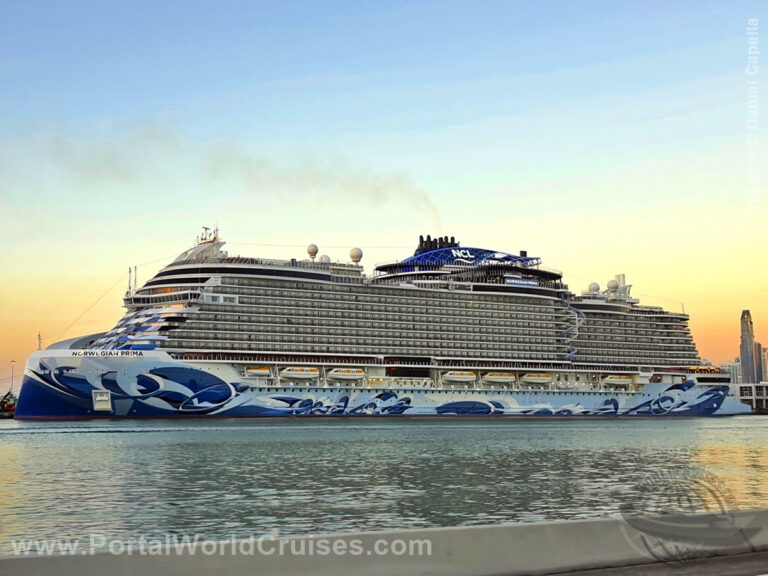 Black Friday NCL 2025