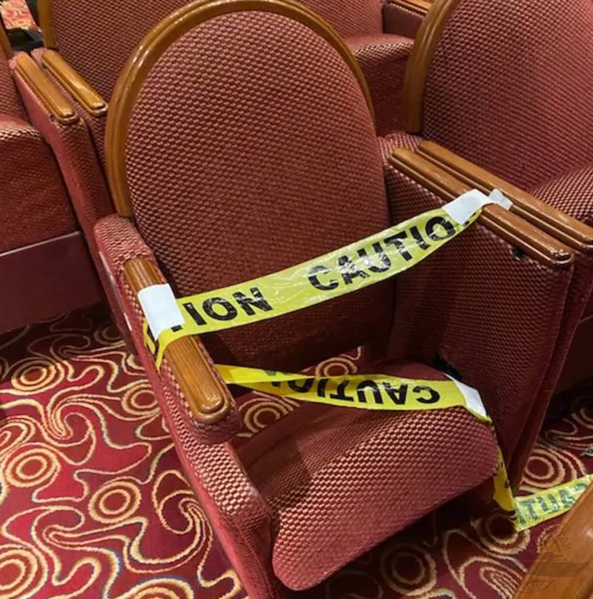 processo Princess Cruises