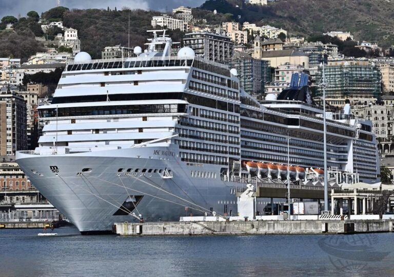 MSC World Cruise 2026