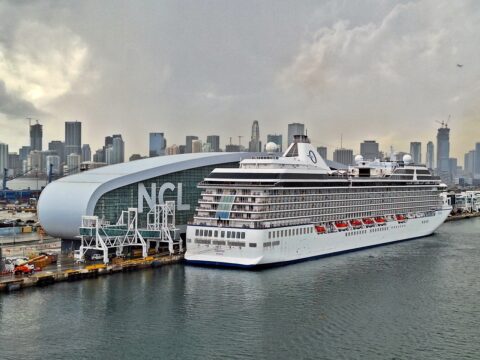 mercado sul-americano de cruzeiros