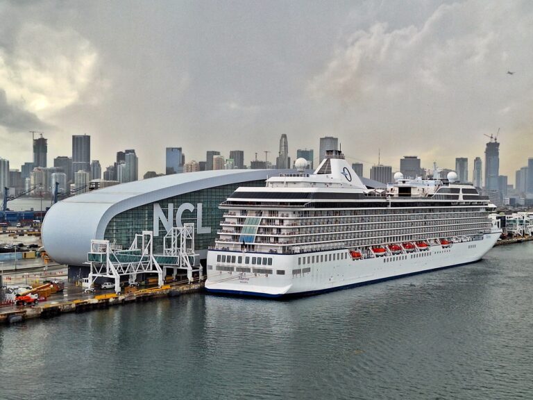 mercado sul-americano de cruzeiros