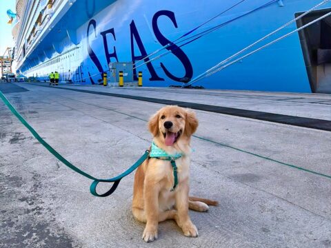 Skipper Legend of the Seas