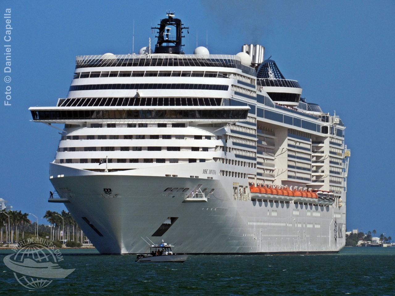 MSC Divina