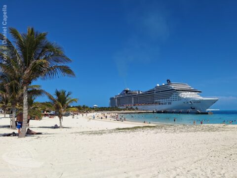 Areia branca e coqueiros em primeiro plano, com o MSC Divina ao fundo durante escala em Ocean Cay